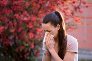 Picture of a woman standing in front of a flowering bush and sneezing due to allergies.